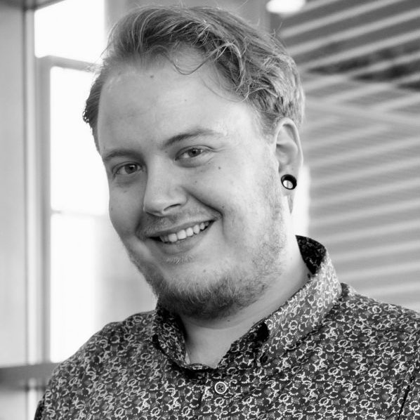 Sven Haverkamp, Student consultant