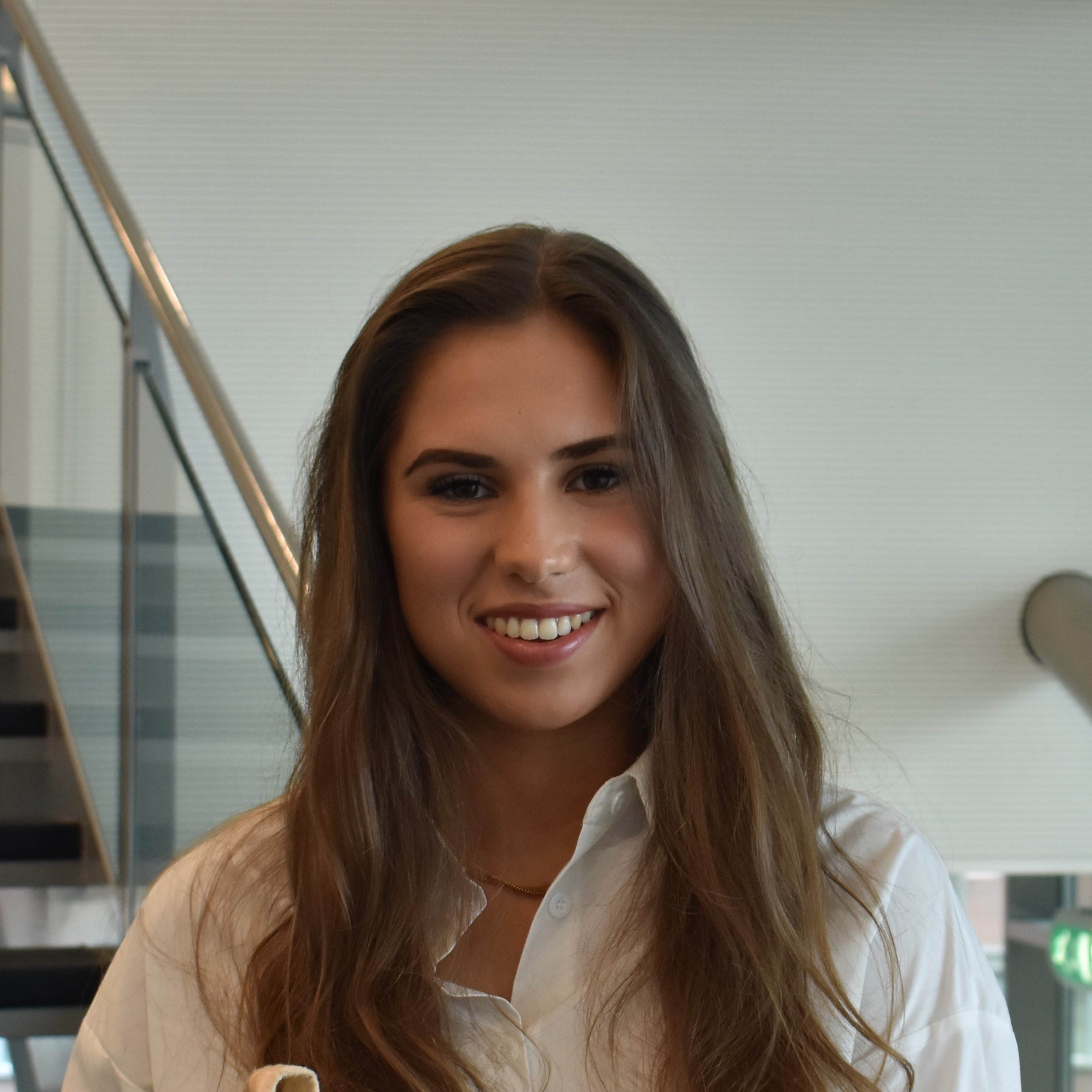 Noa van der Meer, Student consultant