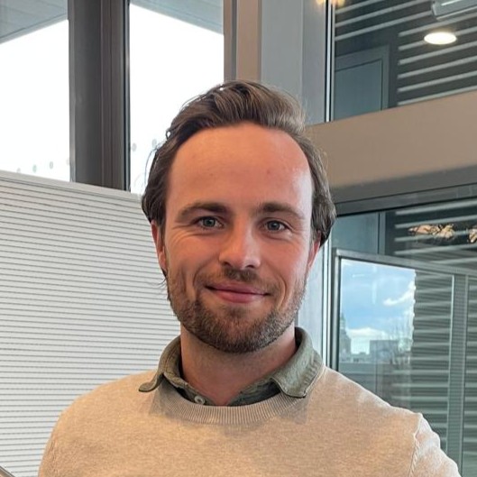 Luc van Roessel, Business consultant